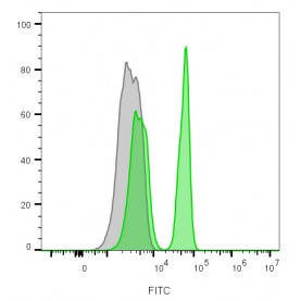 CD4(C4/206), 1mg/mL