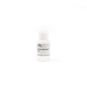 Genomic DNA Wash 1, 25 ml
