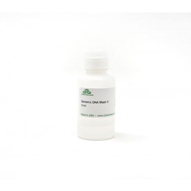 Genomic DNA Wash 2, 12 ml