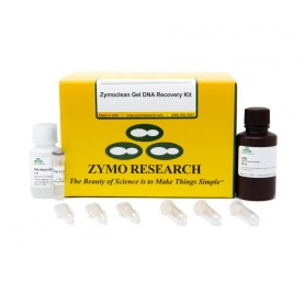 Zymoclean™ Gel DNA Recovery Kit (10 Preps) w/ Zymo-Spin™ I Columns (Uncapped)