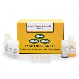 Zyppy™ Plasmid Miniprep Kit (100 Preps)