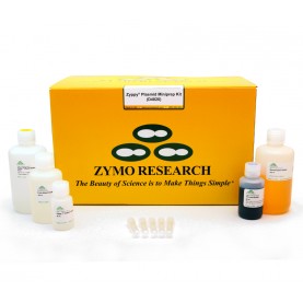 Zyppy™ Plasmid Miniprep Kit (400 Preps)