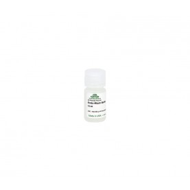 Endo-Wash Buffer (15 ml)