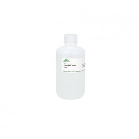 Endo-Wash Buffer (240 ml)