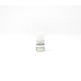 Endo-Wash Buffer (6 ml)