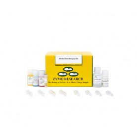 ZR BAC DNA Miniprep Kit (100 Preps)