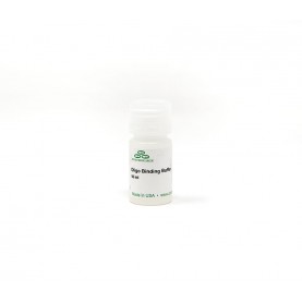 Oligo Binding Buffer (10 ml)