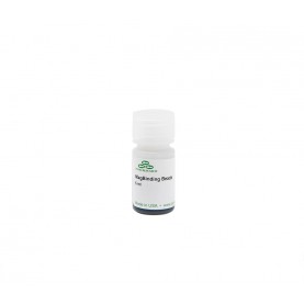MagBinding Beads (6 ml)  ^