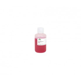 ZymoPURE™ P1 (Red) (100 ml)