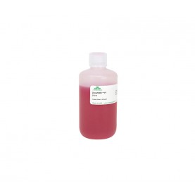ZymoPURE™ P1 (Red) (210 ml)