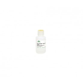 ZymoPURE™ Wash 2 (Concentrate) (10 ml)