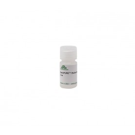 ZymoPURE Elution Buffer (12 ml)