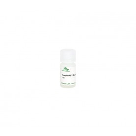 ZymoPURE Elution Buffer (6 ml)