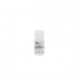 ZymoBIOMICS DNAse/RNAse Free Water (1 mL)