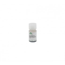 ZymoBIOMICS™ MagBinding Beads (6 mL)