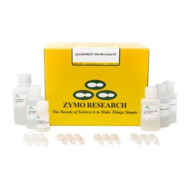 ZymoBIOMICS DNA Microprep Kit (lysis Matrix Not Included) (50 preps)