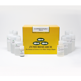 ZymoBIOMICS 96 MagBead DNA Kit (No Lysis Matrix) (2 x 96 preps)