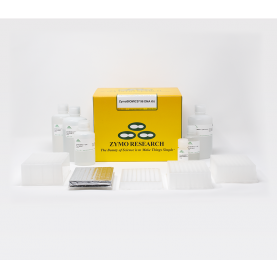 ZymoBIOMICS-96 DNA Kit (lysis Matrix Not Included) (2 x 96 preps)