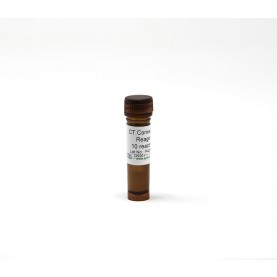 CT Conversion Reagent (5 x 10 Conversions) (5 Tubes)