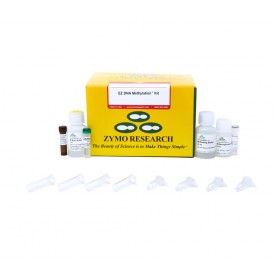 EZ DNA Methylation™ Kit (200 Rxns)