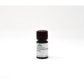 CT Conversion Reagent (96 conversions) (1 Bottle)