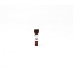M-Dissolving Buffer (500 μl)