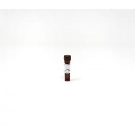 M-Dissolving Buffer (1.2 ml)