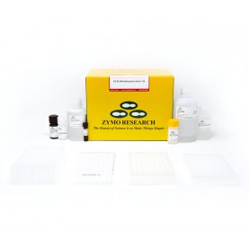 EZ-96 DNA Methylation-Gold™ Kit (Shallow-Well) (2 x 96 Rxns)