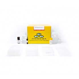 EZ-96 DNA Methylation-Gold™ Kit (Deep-Well) (2 x 96 Rxns)