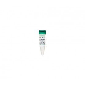 Human HCT116 DKO Non-Methylated DNA (5 μg / 20 μl)