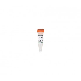 Mouse Kidney DNA (5 ug)