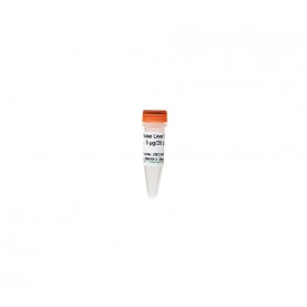 Mouse Liver DNA (5 ug)