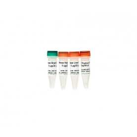 Mouse 5hmC & 5mC DNA Set
