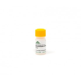 M-Solubilization Buffer (4.5 ml)