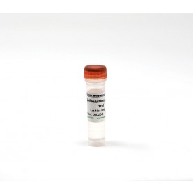 M-Reaction Buffer (1 ml)