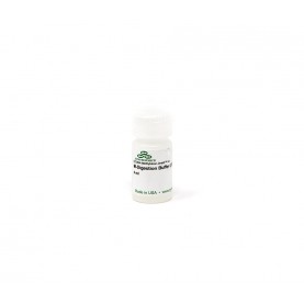 M-Digestion Buffer (2X) (4 ml)