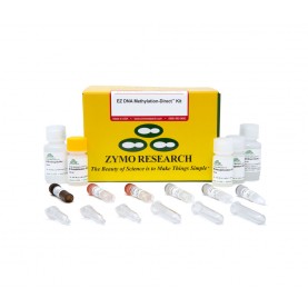 EZ DNA Methlyation-Direct™ Kit (50 Rxns)