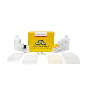 EZ-96 DNA Methlyation-Direct™ Kit (Shallow-Well) (2 x 96 Rxns)