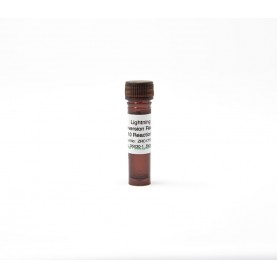 Lightning Conversion Reagent (1 tube) (1.5 ml)