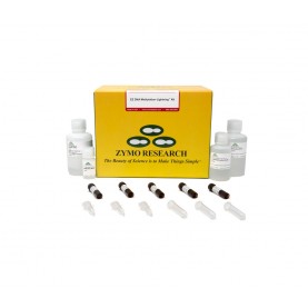 EZ DNA Methlyation-Lightning Kit (10 rxns.)