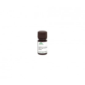 Lightning Conversion Reagent (1 bottle) (15 ml)