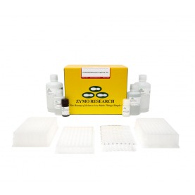 EZ-96 DNA Methylation-Lightning Kit (Deep-Well) (2x96 rxns.)