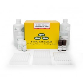 Chromatin Wash Buffer III 30 ml