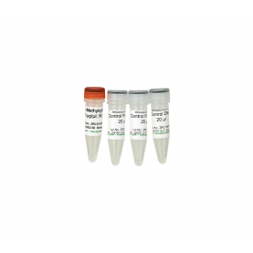 Methylated / Non-Methylated Control DNA & Primer Set  '**'