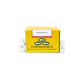 Methylated-DNA IP Kit (10 Rxns)