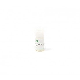 ChIP DNA Binding Buffer (50 ml)