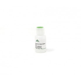 Chromatin Wash Buffer I 30 ml