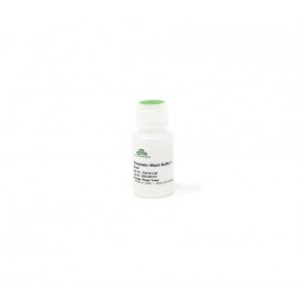 Chromatin Wash Buffer II 30 ml