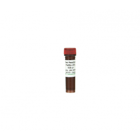 2X Test Reaction PreMix '**' ^