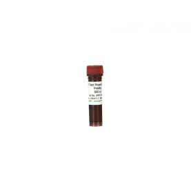 2X Test Reaction-Lite PreMix   '**' ^^